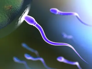 Frequent Ejaculation Linked to Healthier Sperm and IVF Benefits