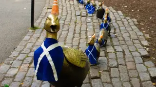 Scotland fans bid Beantown farewell as World Cup trek heads to Miami