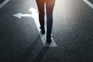 Free and Forced Decisions Share the Same Brain Evidence Path