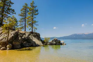 Reno instructor suffers dozens of stitches after unusual Lake Tahoe otter attack