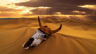 Earth’s Chemistry Teetered Before the Five Great Extinctions