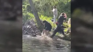 Rabies-confirmed beaver attack in New Jersey prompts medical precautions