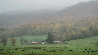 West Virginia's Data Center Boom Clashes with Local Control and Environmental History