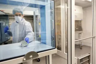 Sunshine State's peptide boom: promises, perils, and regulatory gaps