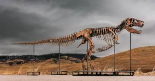 Dinosaurs at Auction: Wealth, hype, and the science at stake