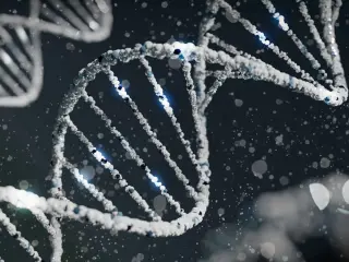 Your DNA helps shape personality, but life writes most of the score