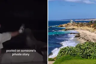 NOAA probes La Jolla Sea Lion Kick Video