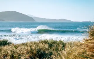 Two Reefs, One Mission: Surf and Shoreline Resilience from Albany to the Gold Coast
