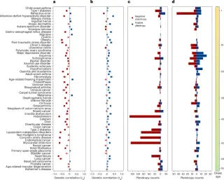Fertility gains help disease-risk alleles endure through evolution-driven trade-offs