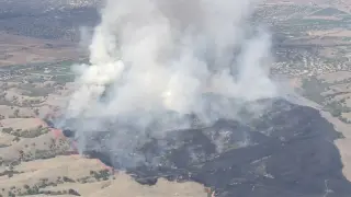 Little Fire triggers evacuations as Alameda County blaze swells to 700 acres near Pleasanton