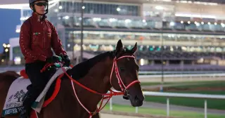 Forever Young Favored After Field Shrinks in Jockey Club Gold Cup