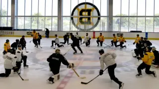 Bruins open training camp mixing youth with veteran depth