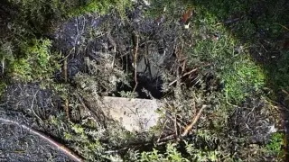 Latvia Foils 28 Migrants via Hidden Belarus Tunnel