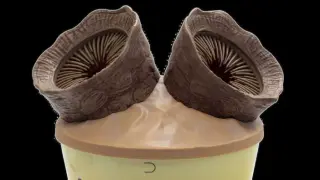 AMC Unveils Controversial Double Sandworm Buckets for Dune 3