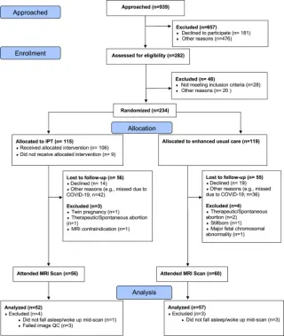 Prenatal Therapy Linked to Smaller Infant Hippocampus and Lower Emotional Distress