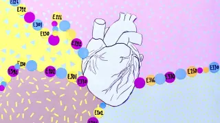 Processed-food preservatives linked to higher blood pressure and heart disease risk