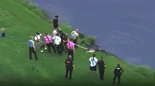 Medical Examiner Rules Winter Garden Alligator Death an Accident
