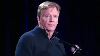 Goodell says Bears stadium plan remains open between Indiana and Arlington Heights