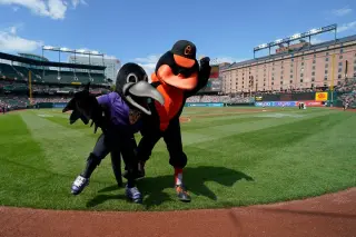 Ravens fan vents frustration over late parking notice amid Orioles game-day overlap