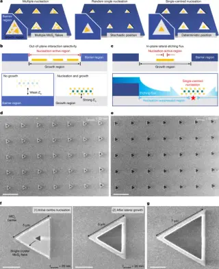 New Etching Flux Method Enables Deterministic Nucleation for 2D Semiconductor Integration