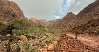 Megafire-linked flood risk at Grand Canyon rises as Driscoll resigns and Massachusetts primaries loom