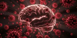 MRI reveals enduring brain changes in both long COVID patients and recovered individuals
