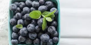 A Week of Blueberries: Tiny Berries, Big Health Hopes