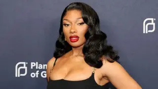 Megan Thee Stallion Wows Fans in Sheer Top Amid Breakup Buzz