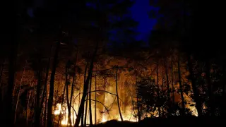 Virulent Fontainebleau blaze rattles Paris region amid heatwave
