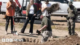 117 dogs found dead at California no-kill rescue sparks investigation