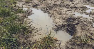 Minnesota Woman Rescued After Three Days Trapped in Mud Puddle Resembling Quicksand
