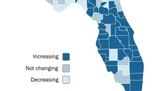 Florida Flu Cases Rise as Experts Urge Early Vaccination