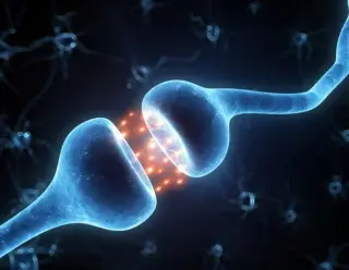 Fluctuating saliva cortisol linked to faster cognitive decline in older adults