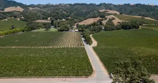 Gundlach Bundschu Files for Chapter 11 as California Wine Crisis Deepens