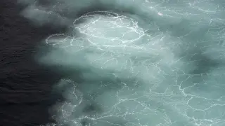Cold Atlantic Patch Signals Gulf Stream Slowdown and East Coast Risks