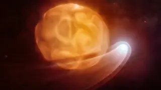 Radio Data Reveal Betelgeuse’s Companion Distorts Its Atmosphere