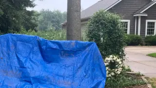 Family, Employer Speak as Grand Haven Murder-Suicide Investigation Unfolds
