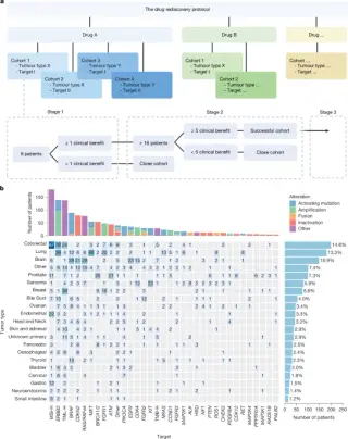 Genomics-guided off-label cancer therapy shows benefit in defined subgroups (DRUP trial)