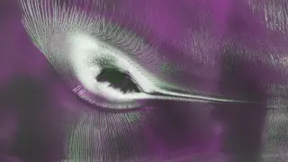 Hummingbird-like glacial portrait uncovered by NASA-ISRO radar