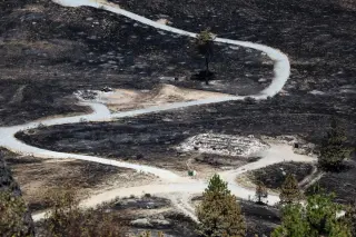 18-year-old arrested, five others sought in deadly Chelan Hills July 4 fire in Washington