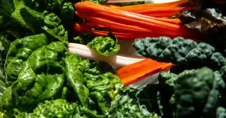 Outbreak of diarrhea-causing cyclosporiasis prompts at-home safe-food guidance