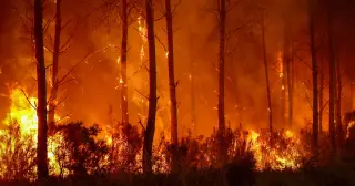 Wildfires scorch Bordeaux region, imperiling France’s famed vineyards