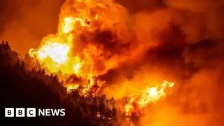 Adriatic Coast Wildfire Triggers Mass Evacuations in Croatia