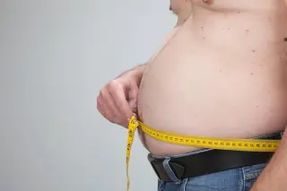 Fat-Cell Gatekeeper HSL Reveals Hidden Role in Adipose Health