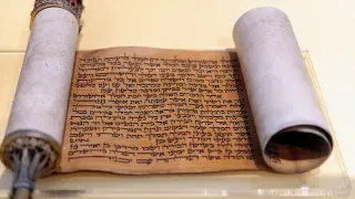 Evangelical Leader Condemns Palestinian Envoy’s Claim That the Bible Is a 'Palestinian Book'