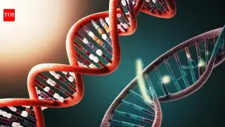 Eight-letter DNA gets read by a bacterial enzyme, doubling the genetic alphabet in the lab