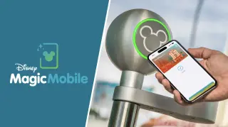 Disney World Bets on Dynamic Apple Wallet Keys with iOS 27