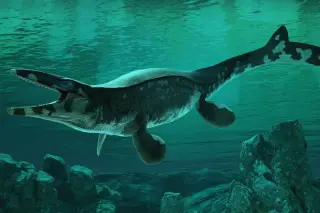 Sea's New King: Meet Tylosaurus rex, the 43-Foot Ocean Predator