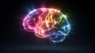 Vitamin C Levels Linked to Brain Structure in Aging Adults