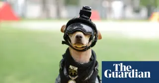 Mexico's National Guard Enlists Chihuahua 'Comando' for Search-and-Rescue Training